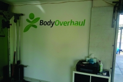Body-Overhaul-3D